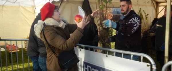 Journée de l'arbre